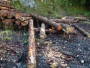Wood Logs - FellFoot, Lake Windemere, Lake District - www.buckinghamvintage.co.uk